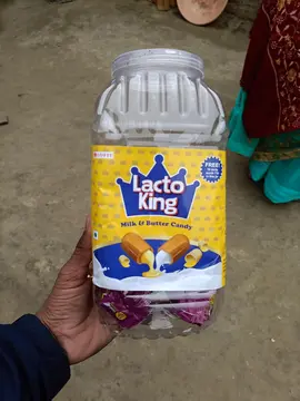 Lotte Lactoking 12JARS pack