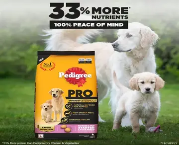 Pedigree Starter Large Mother & Puppy pack